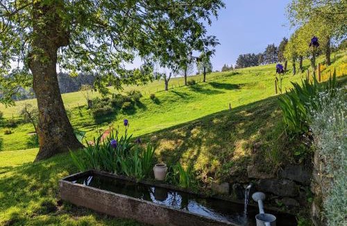 Saint-Prejet-d'Allier Casa | Gîte au calme avec équipements PMR, parking, animal accepté - FR-1-582-59