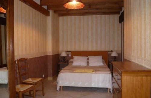 Cour-Cheverny Casa | Gîte au coeur des Châteaux de la Loire avec jardin clos, cheminée et équipements modernes. - FR-1-491-360