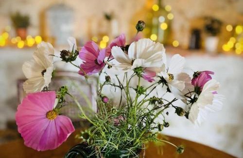 Montaigu-le-Blin Casa | Gîte avec Spa, Cheminée, Nature et Confort à Montaigu-le-Blin - FR-1-489-522
