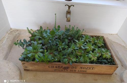 Germonville Casa | Gîte calme 4 chambres, terrasse privative, draps inclus - Germonville - FR-1-584-167