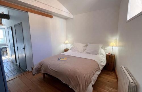 Saint-Andre-dʼApchon Casa | Gîte charmant avec piscine, jardin, et produits fermiers à Saint-André-d'Apchon - FR-1-496-142