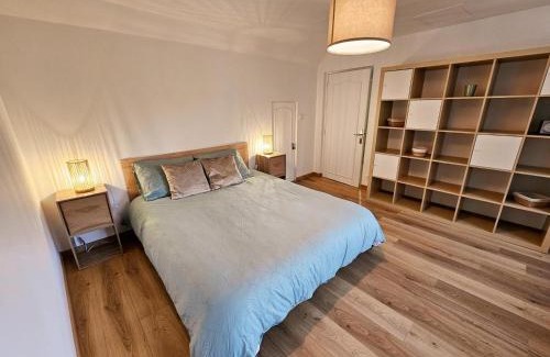 Saint-Martin-le-Beau Casa | Gîte charme avec jardin et WIFI proche châteaux Loire - FR-1-381-597