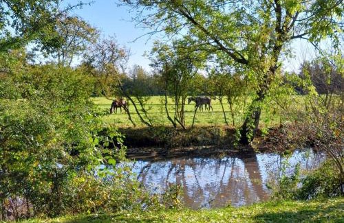 La Ferte-en-Ouche Casa | Gîte confortable au cœur d'un élevage, animaux admis, Wifi - FR-1-497-239