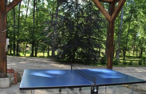 Souvigny-de-Touraine Casa | Gîte confortable avec parc boisé, activités familiales et équipements modernes près de la Loire - FR-1-381-470
