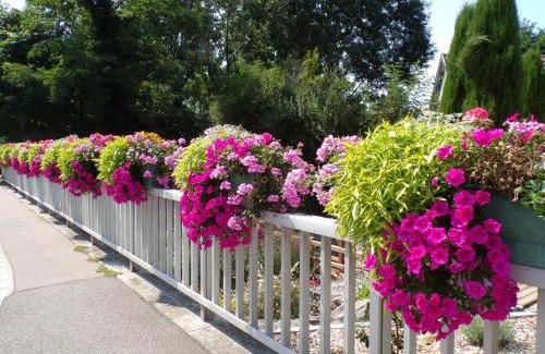 Baldersheim Apartamento | Gîte convivial avec terrasse abritée, 3 chambres, cuisine équipée, espace détente, proche autoroutes et pistes cyclables. - FR-1-744-6