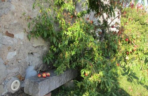 Guilly Casa | Gîte cosy en Val de Loire, proche Loire, Sologne, Sully/Loire - 1 ch, salon, cuisine, linge inclus - FR-1-590-30