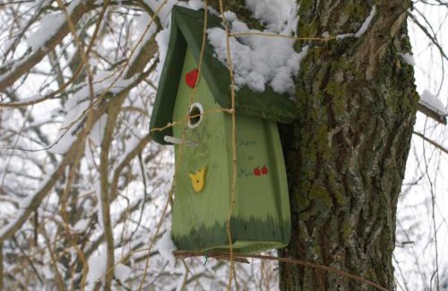 Boissets Casa | Gîte cosy et rénové à Boissets avec jardin clos, WiFi, proche randonnées et sites touristiques. - FR-1-527-46