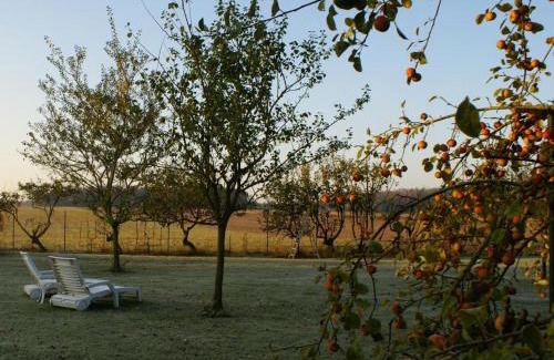 Boissets Casa | Gîte cosy et rénové à Boissets avec jardin clos, WiFi, proche randonnées et sites touristiques. - FR-1-527-46