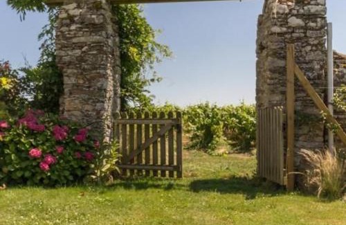 Chateau-Thebaud Casa | Gîte de caractère au cœur des vignes avec jardin, vélos et équipements bébé - FR-1-306-796
