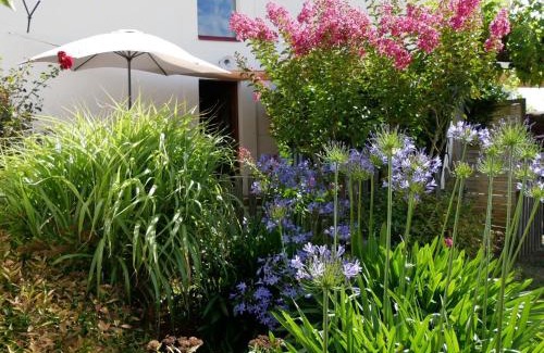 Chateau-Thebaud Casa | Gîte de caractère au cœur des vignes avec jardin, vélos et équipements bébé - FR-1-306-796