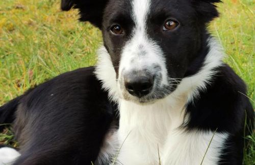 Mayet Casa | Gîte de charme avec terrasse, proche circuit 24H et zoo de la Flèche, idéal pour 4 pers. - FR-1-410-438