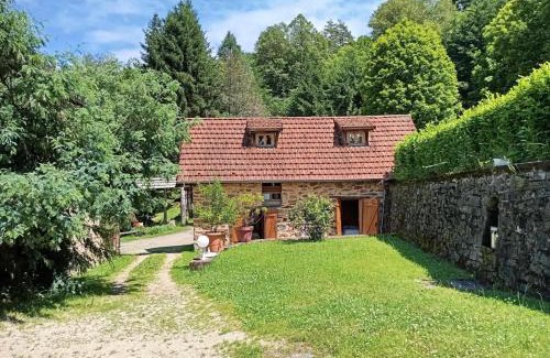 Sainte-Fortunade Apartamento | Gîte de France à Sainte Fortunade 3 épis - Gîte de France 4 personnes MAE-6514