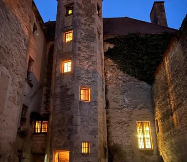 Chatillon-sur-Seine Casa | Gîte de l'Auditoire Royal