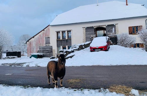 Bouclans Apartamento | Gîte de l'Echappée Bêêêle