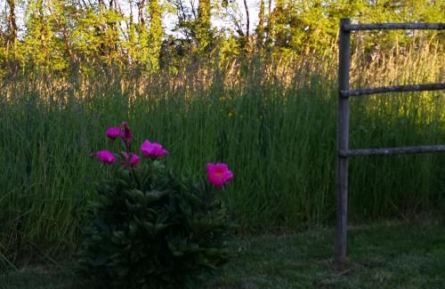Bruailles Casa | Gîte de la Ferme de la Terve