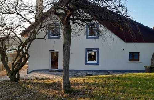 Grosne Casa | Gîte de la Grande Rainette