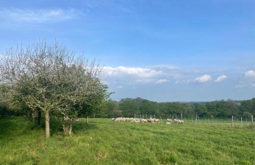 Pont-Scorff Casa | Gîte de penhaudan 1