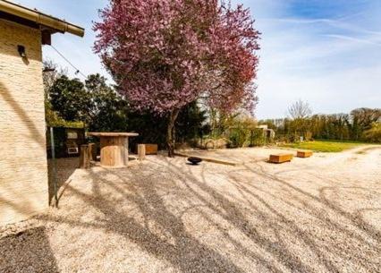 Coole Casa | Gîte du Lapin Bleu