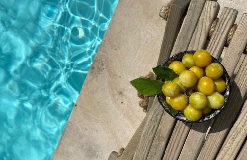 Ligre Cama Y Desayuno | Gîte Eucalyptus L'Ecrin de Verdure piscine Chinon