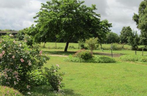 Channay-sur-Lathan Casa | Gîte familial avec grand jardin, près des Châteaux de la Loire et activités nautiques - FR-1-381-494
