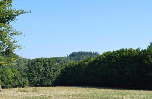 Pouligny-Notre-Dame Casa | Gîte familial au calme avec grand jardin, balnéo et loisirs nautiques à proximité - FR-1-591-134