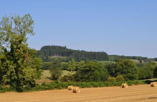 Pouligny-Notre-Dame Casa | Gîte familial au calme avec grand jardin, balnéo et loisirs nautiques à proximité - FR-1-591-134
