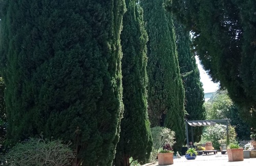 Les Angles Apartamento | Gîte Garrigue Dans une Propriété Calme et Arborée Pour 4 Pers Proche D'avignon