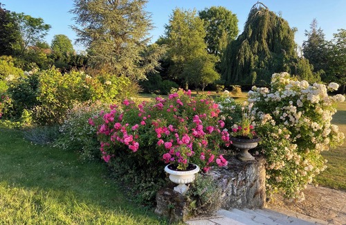 Senlis Apartamento | Gîte "Haut Echiquier" 10mn Parc Astérix, 15mn Aéroport Charles de Gaulle.