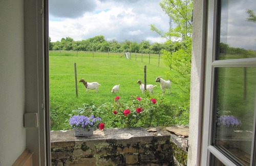 Tournus Cabaña | Gîte in French Historic Wine Farm