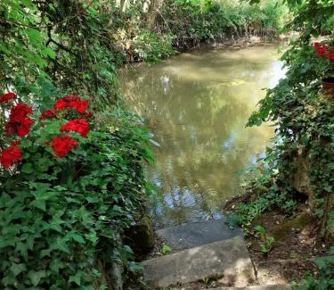 Beaulieu-les-Loches Apartamento | gîte " jardin peyrona" visite zoo beauval et châteaux de Loire