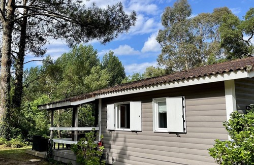 Soustons Casa | Gîte La Cabane Sous les Pins