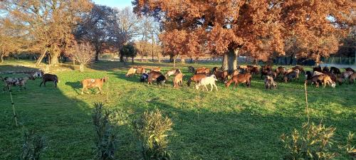 Gras Casa | Gîte La Truffière