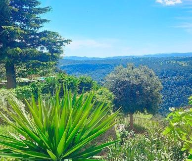 Saint-Cezaire-sur-Siagne Apartamento | Gîte Le Figuier de Saint Ce Jardinet Terrasse Vue