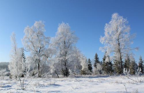 Prenovel Apartamento | Gîte Le Passe Montagne 10 personnes