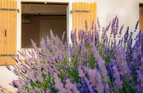 Puechoursi Apartamento | Gîte Lempery