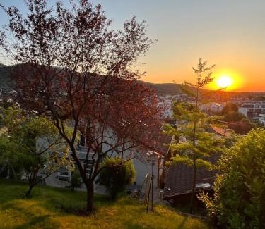 Thann Casa | Gîte les Rosiers du Blosen