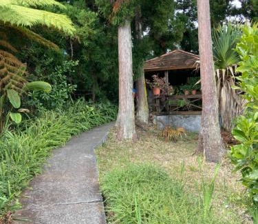 Saint-Paul Cama Y Desayuno | Gîte LEUCALYPTUS