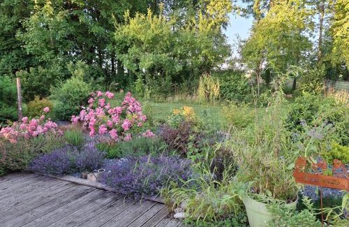 Aubreville Casa | Gîte Nature et détente
