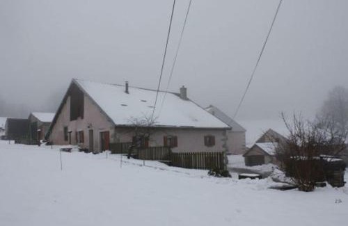 Girmont-Val-d'Ajol Casa | Gîte paisible à 650m d'alt., nature, cheminée, 3 ch. près de Remiremont & Plombières, terrasse, grand terrain - FR-1-589-50