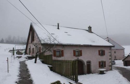 Girmont-Val-d'Ajol Casa | Gîte paisible à 650m d'alt., nature, cheminée, 3 ch. près de Remiremont & Plombières, terrasse, grand terrain - FR-1-589-50
