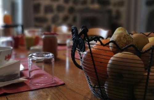 Seneujols Cama Y Desayuno | Gîte pittoresque en campagne près du Puy-en-Velay, idéal pour nature et St-Jacques de Compostelle - FR-1-582-451