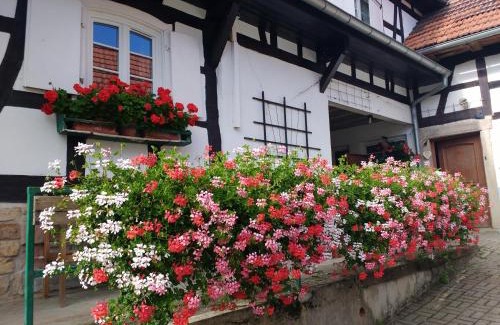 Hunspach Apartamento | GÎte rue de l'Ange