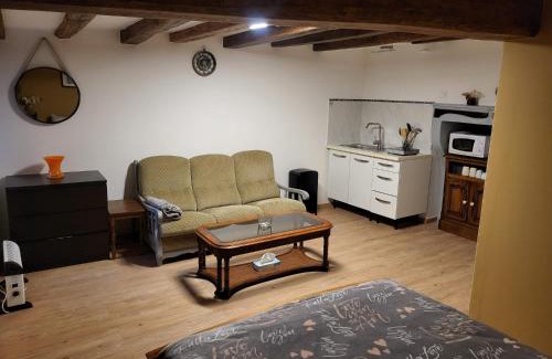 Bar-sur-Aube Apartamento | Gîte Studio Alex 3 Masson de Morfontaine rez de chaussé