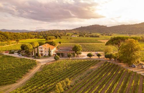 Les Arcs-sur-Argens Apartamento | Gîte Vert d'olive au milieu des vignes - Château Les Apiès