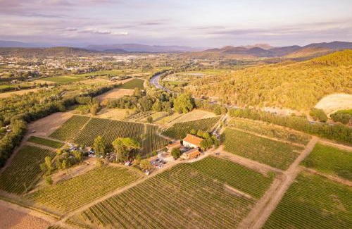Les Arcs-sur-Argens Apartamento | Gîte Vert d'olive au milieu des vignes - Château Les Apiès