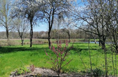 Saint-Firmin-sur-Loire Casa | Gîtes modulables entre Loire et Sologne avec jardin et barbecue - FR-1-590-528
