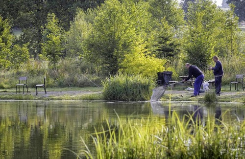 Momignies Casa | Gîtes pêche - à la ferme - "Rêve d'Eau" aux Etangs de Cendron En-Fr-Es