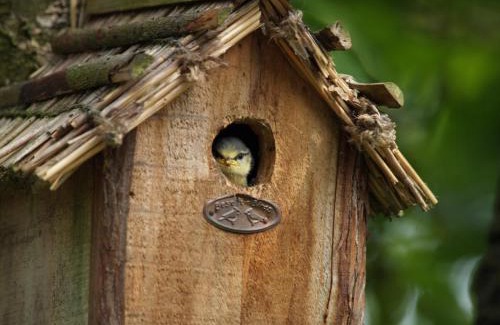 Cherisey Casa | Gîtes spacieux avec jardin
