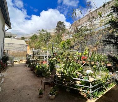 Da Lat Apartamento | Gôn Home