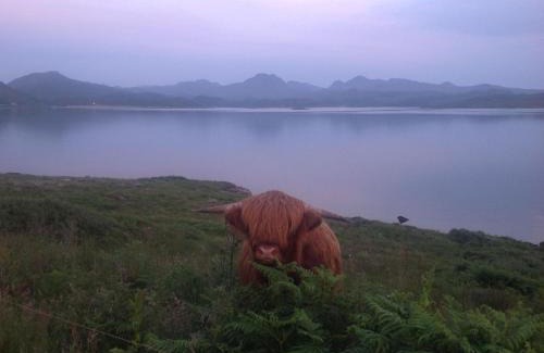 The Hebrides Hostal | Gairloch Sands Youth Hostel